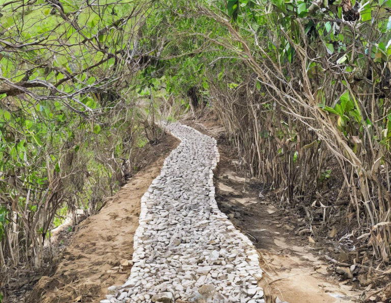 Jalan Alternatif Menuju Taman Nasional Komodo: Rute Tersembunyi