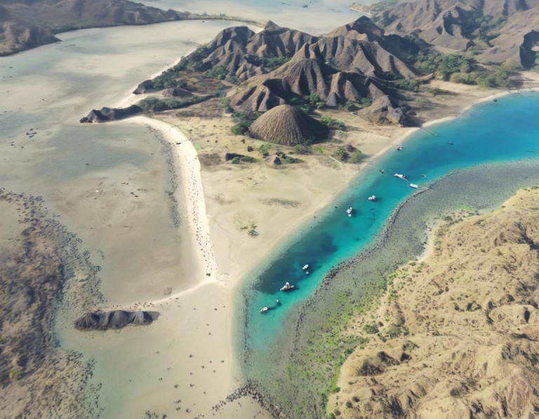 Lokasi Terbaik untuk Melihat Komodo: Pulau Komodo, Rinca, dan Padar