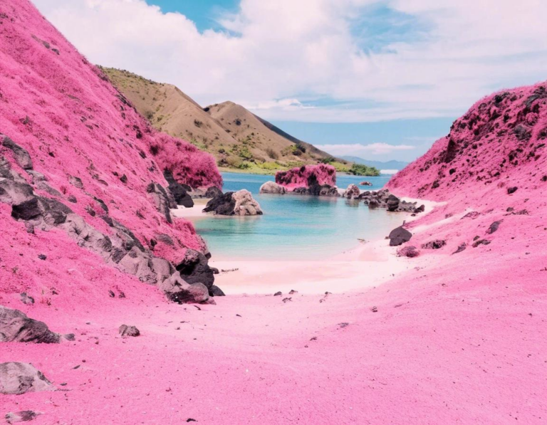 Menjelajahi Keindahan Pantai Pink: Surga Tersembunyi di Taman Nasional Komodo