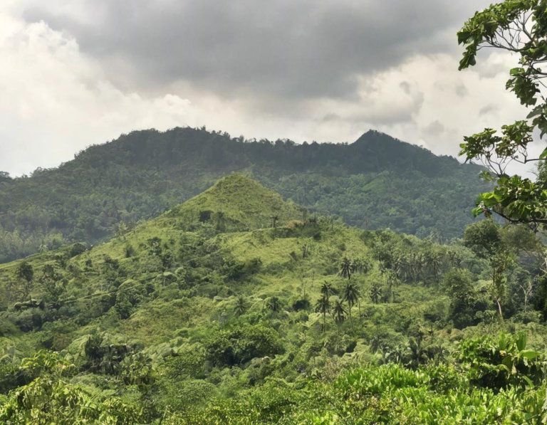 Perjalanan Menuju Gili Lawa:  Melalui Hutan dan Perbukitan