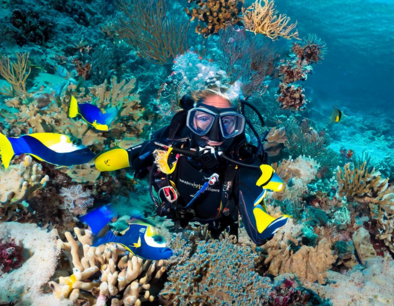 Tips & Persiapan: Mengatur Perjalanan Diving Anda