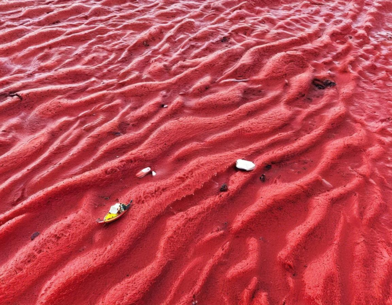 Tips untuk Menjelajahi Pantai Merah