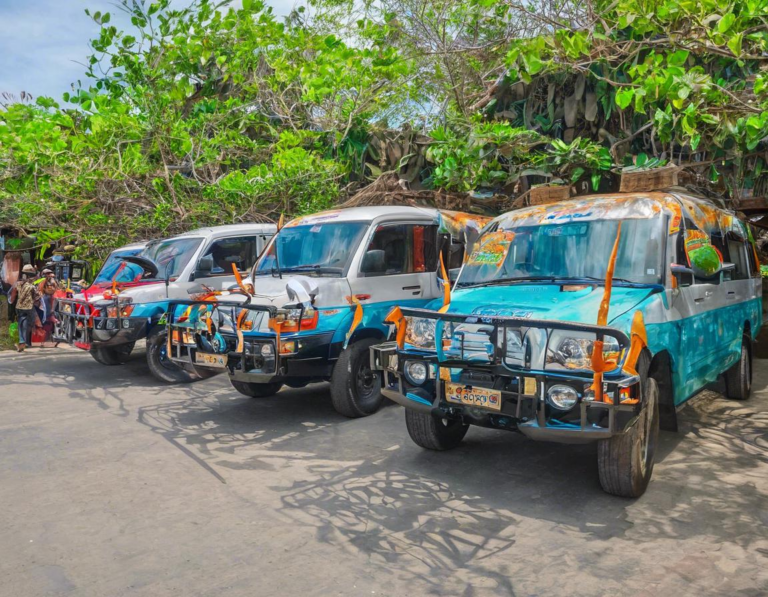 Transportasi Menuju Taman Nasional Komodo