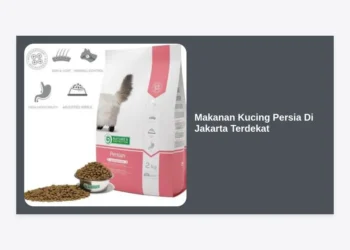 10+ Rekomendasi Makanan Kucing Persia Di Jakarta Terdekat: Tips Nutrisi & Lokasi Pet Shop Terbaik