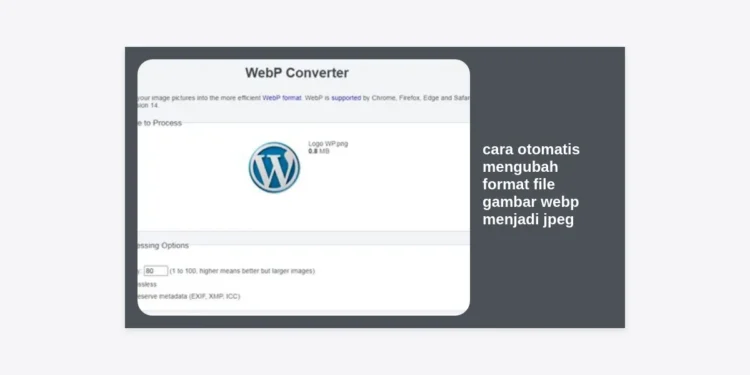 Cara Otomatis Mengubah Format File Gambar WebP Menjadi JPEG: Panduan Workflow AI 2024
