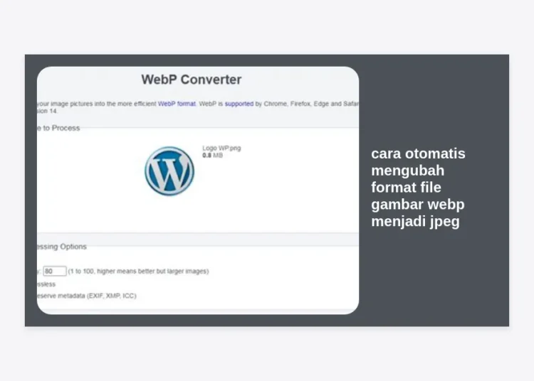 Cara Otomatis Mengubah Format File Gambar WebP Menjadi JPEG: Panduan Workflow AI 2024