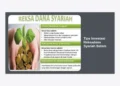 12 Tips Investasi Reksadana Syariah Batam untuk Pemula: Panduan Lengkap 2024