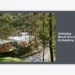 15 Destinasi Glamping Murah Bisa Cod di Bandung: Panduan Lengkap Liburan Hemat dan Aman