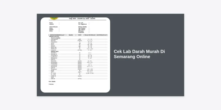 Cek Lab Darah Murah Di Semarang Online: Panduan Lengkap dan Tips Hemat 2024