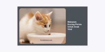 Daftar Makanan Kucing Persia Untuk Anak Viral: Rahasia Bulu Lebat dan Sehat