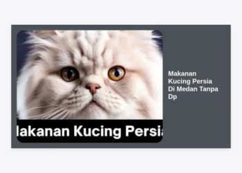 Makanan Kucing Persia Di Medan Tanpa Dp: Panduan Lengkap & Rekomendasi Toko Best Seller