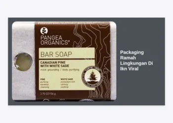 Packaging Ramah Lingkungan Di Ikn Viral: Solusi Hijau di Jantung Ibu Kota Baru Nusantara