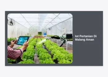 Panduan Lengkap Implementasi Iot Pertanian Di Malang Aman dan Menguntungkan
