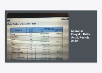 Panduan Lengkap Memilih Asuransi Penyakit Kritis Untuk Pemula Di Ikn: Lindungi Finansial Anda di Ibu Kota Baru
