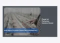 Pusat IoT Pertanian Garansi Resmi: Solusi Modern untuk Hasil Tani Melimpah