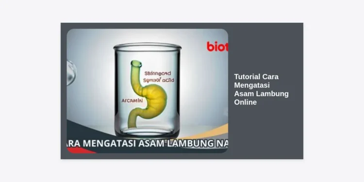 Tutorial Cara Mengatasi Asam Lambung Online: Panduan Lengkap Medis & Alami