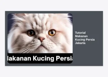 Tutorial Makanan Kucing Persia Jakarta: Panduan Lengkap Nutrisi, Menu Harian, dan Tips Perawatan Terbaik