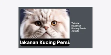 Tutorial Makanan Kucing Persia Jakarta: Panduan Lengkap Nutrisi, Menu Harian, dan Tips Perawatan Terbaik