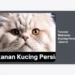 Tutorial Makanan Kucing Persia Jakarta: Panduan Lengkap Nutrisi, Menu Harian, dan Tips Perawatan Terbaik
