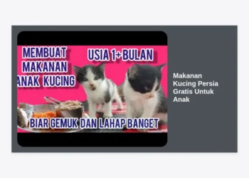 10+ Strategi Mendapatkan Makanan Kucing Persia Gratis Untuk Anak & Resep Hemat Nutrisi Tinggi