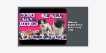 10+ Strategi Mendapatkan Makanan Kucing Persia Gratis Untuk Anak & Resep Hemat Nutrisi Tinggi