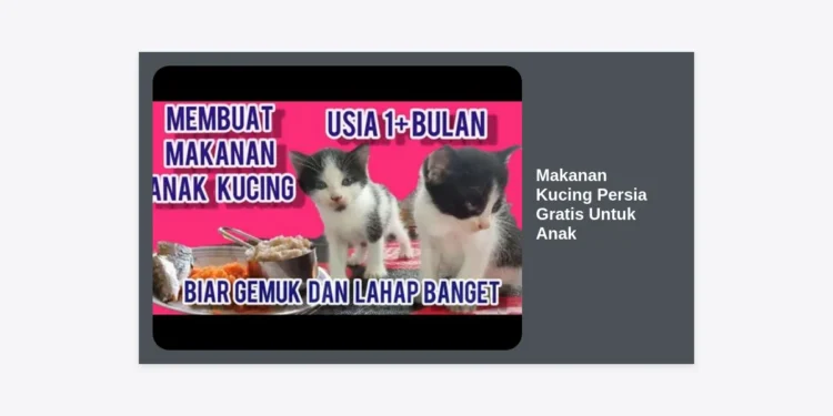 10+ Strategi Mendapatkan Makanan Kucing Persia Gratis Untuk Anak & Resep Hemat Nutrisi Tinggi