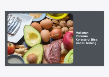 15+ Makanan Penurun Kolesterol Bisa COD di Malang: Panduan Lengkap Hidup Sehat Tanpa Ribet