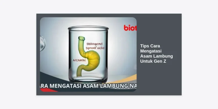 15+ Tips Cara Mengatasi Asam Lambung Untuk Gen Z: Solusi Tuntas di Gaya Hidup Serba Cepat