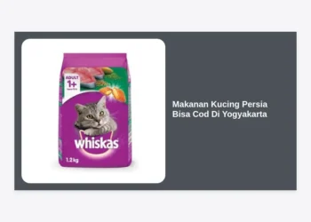 Jual Makanan Kucing Persia Bisa COD di Yogyakarta: Panduan Lengkap & Rekomendasi Terbaik