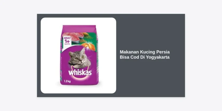 Jual Makanan Kucing Persia Bisa COD di Yogyakarta: Panduan Lengkap & Rekomendasi Terbaik