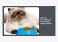 Panduan Lengkap Memilih Makanan Kucing Persia Di Semarang Garansi Resmi untuk Kesehatan Optimal