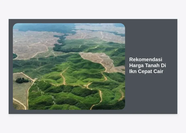 Rekomendasi Harga Tanah di IKN Cepat Cair: Panduan Lengkap Investasi 2024