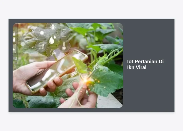Revolusi Hijau 4.0: Mengapa Penerapan IoT Pertanian di IKN Viral dan Dampaknya bagi Indonesia