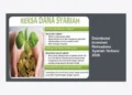10+ Distributor Investasi Reksadana Syariah Terbaru 2026: Panduan Lengkap & Strategi Cuan Halal