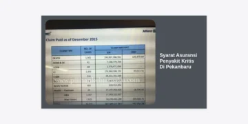 Lengkap! Syarat Asuransi Penyakit Kritis Di Pekanbaru dan Panduan Memilihnya