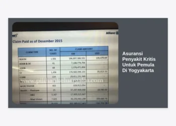Panduan Lengkap Memilih Asuransi Penyakit Kritis Untuk Pemula Di Yogyakarta