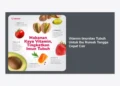 12+ Rekomendasi Vitamin Imunitas Tubuh Untuk Ibu Rumah Tangga Cepat Cair Agar Tetap Fit & Produktif