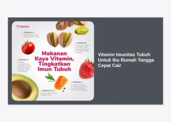 12+ Rekomendasi Vitamin Imunitas Tubuh Untuk Ibu Rumah Tangga Cepat Cair Agar Tetap Fit & Produktif