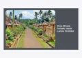 15 Desa Wisata Terbaik Untuk Lansia Terdekat yang Nyaman, Aman, dan Menenangkan