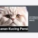 Beli Makanan Kucing Persia Malang: Panduan Lengkap Nutrisi, Harga, dan Pet Shop Terbaik