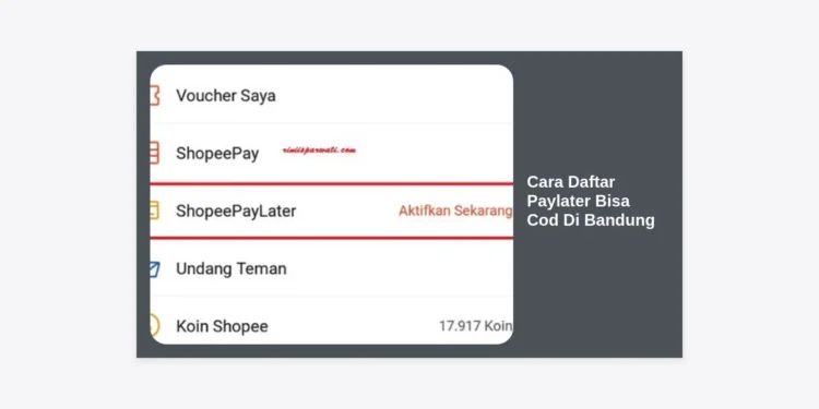 Cara Daftar Paylater Bisa COD di Bandung: Panduan Terlengkap 2024