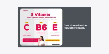 Jasa Vitamin Imunitas Tubuh Di Pekanbaru: Layanan Terpercaya untuk Kesehatan Optimal Anda