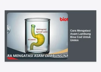 Panduan Lengkap Cara Mengatasi Asam Lambung Bisa COD untuk UMKM dan Strategi Bisnis Terpercaya