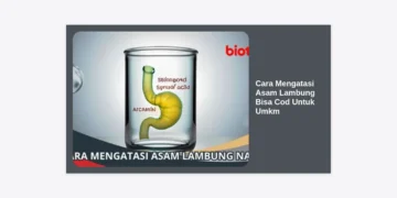 Panduan Lengkap Cara Mengatasi Asam Lambung Bisa COD untuk UMKM dan Strategi Bisnis Terpercaya