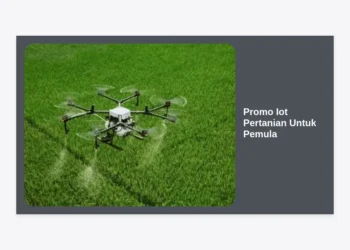 Promo IoT Pertanian Untuk Pemula: Panduan Lengkap Memulai Smart Farming dengan Biaya Terjangkau