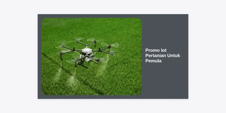 Promo IoT Pertanian Untuk Pemula: Panduan Lengkap Memulai Smart Farming dengan Biaya Terjangkau