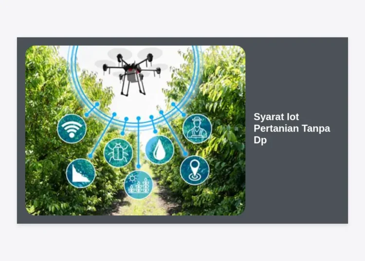 Syarat IoT Pertanian Tanpa DP: Panduan Lengkap Modernisasi Lahan untuk Petani Milenial