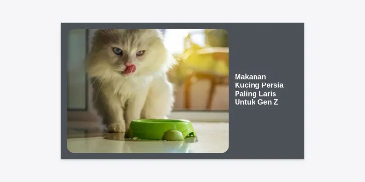 10+ Makanan Kucing Persia Paling Laris Untuk Gen Z: Panduan Lengkap Agar Anabul Sehat dan Glow Up