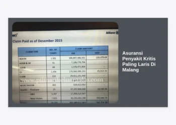 10+ Rekomendasi Asuransi Penyakit Kritis Paling Laris Di Malang: Panduan Lengkap 2024