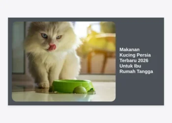 10+ Rekomendasi Makanan Kucing Persia Terbaru 2026 Untuk Ibu Rumah Tangga: Rahasia Bulu Lebat & Kucing Sehat